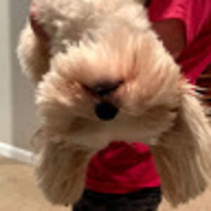 Meet your Posher, Anna